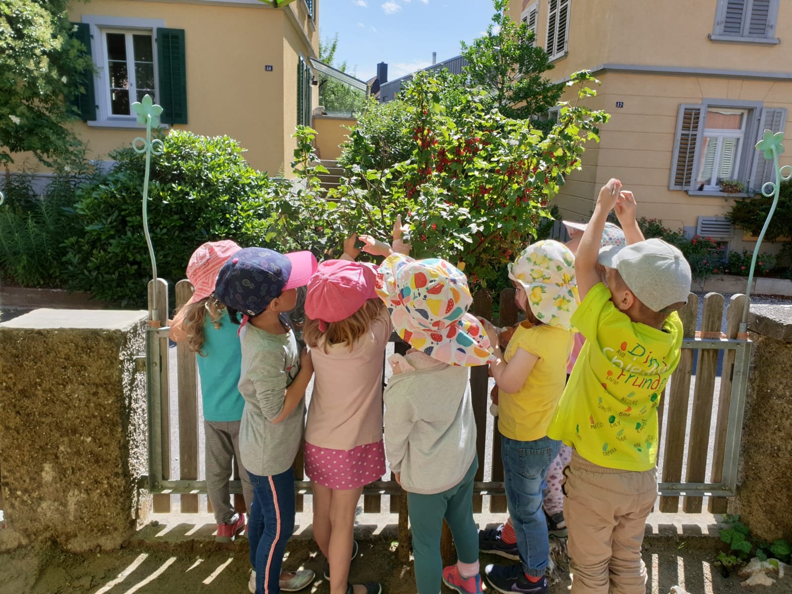 Kinder pflücken Beeren